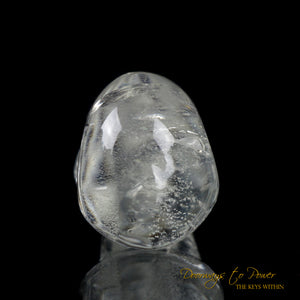 Phenacite Synergy 12 Stone Crystal Skull Carving 