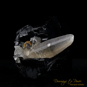 Black Tourmaline Etched Record Keeper Crystal with Smoky Quartz