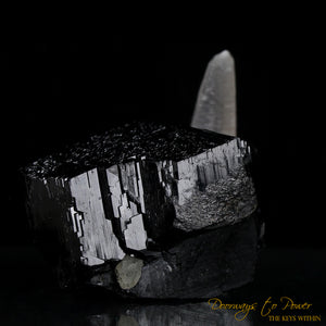 Black Tourmaline Etched Record Keeper Crystal with Smoky Quartz