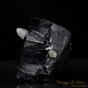 Black Tourmaline Etched Record Keeper Crystal with Smoky Quartz