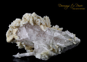 Danburite crystal Specimen Synergy 12 Stone