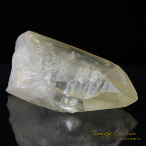 Golden Healer Lemurian Seed Quartz 8 Sided Grounding Record Keeper Crystal