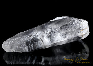 Lemurian Light Quartz Record Keeper Crystal 9D 'Omnipresent Elder'