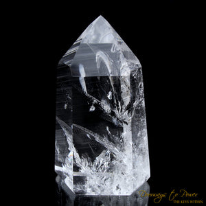 Lemurian Quartz Master Integration Transmitter Crystal Point 'Era of Light'