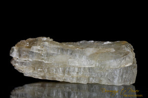 Petalite Crystal & Synergy 12 Stone 