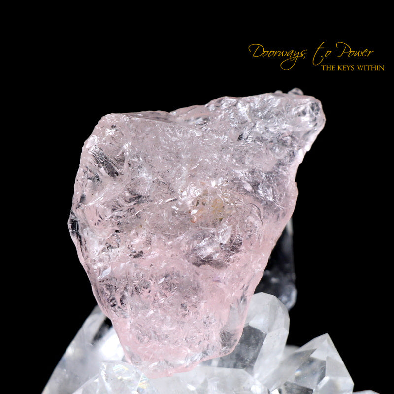 Morganite Dragon Crystal Carving Hand Carved - Doorways To Power