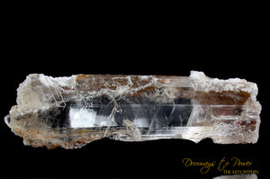 Naica Selenite Crystal Specimen 'Liquid Light' XL