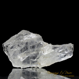  Petalite Crystal & Synergy 12 Stone