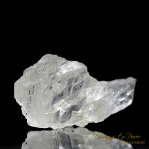  Petalite Crystal & Synergy 12 Stone