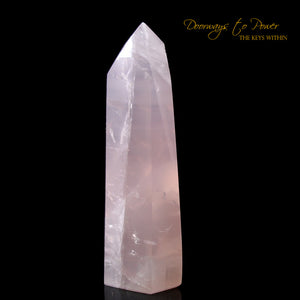 Rose Quartz Master Crystal Point 'Awakened Heart'