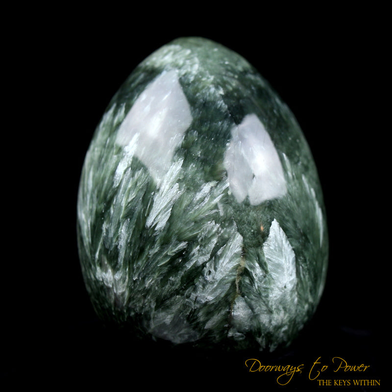 Seraphinite Cosmic Egg Crystal 'Bird of Light'