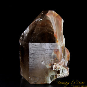 Angel Phantom Amphibole Quartz Crystal Point XL