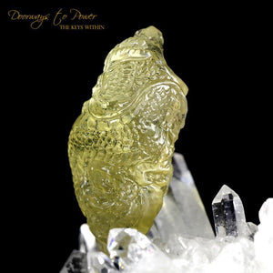 Libyan Gold Tektite Dragon Crystal Carving