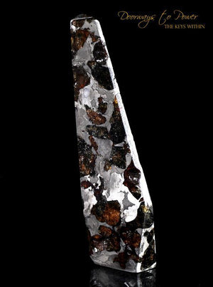 Seymchan Pallasite Meteorite 'Portal' 