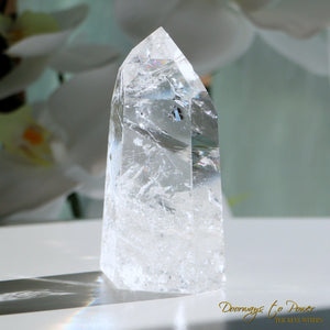 Starseed Lemurian Quartz