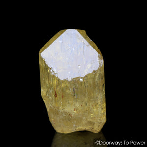 Honey Yellow Scapolite Rare Gemstone Tanzania 'Collectors Quality'