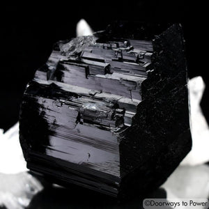 Black Tourmaline Etched Record Keeper Crystal Cannon