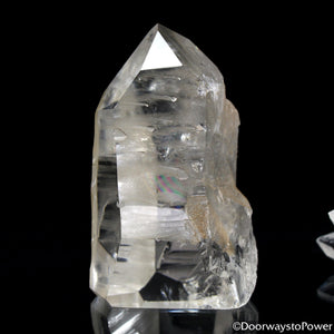 Lemurian Seed Quartz Crystals for Sale