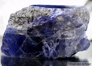 Tanzanite Record Keeper Crystal Synergy 12 Stone 'Collector Quality'