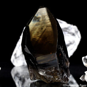 Smoky Citrine Lemurian Phantom Quartz Record Keeper Crystal 'Grounded In the All'