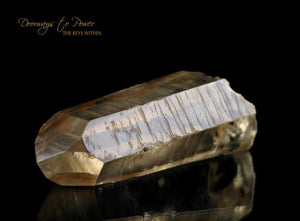 Golden Lemurian Master Dow Crystal with Record Keepers