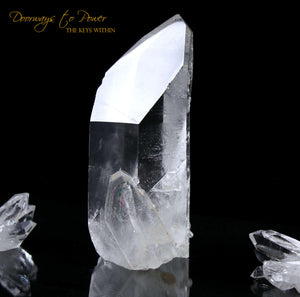 Starseed Lemurian Quartz Crystal Point