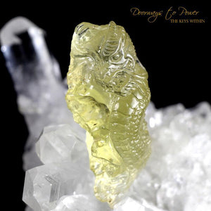 Libyan Desert Glass Carved Dragon Crystal