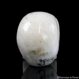 Scolecite Crystal Skull & Rare Synergy 12 Stone