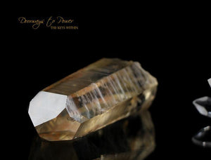 Golden Lemurian Master Dow Crystal with Record Keepers