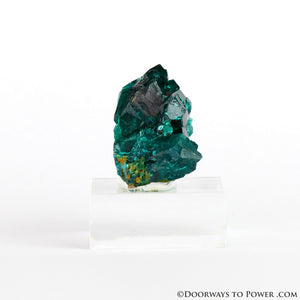 Dioptase Mineral Specimen A +++ Collectors Quality