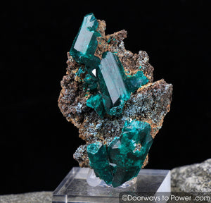 Amazing Dioptase Mineral Specimen Twin 'Museum Quality'