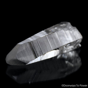 Black Phantom Lemurian Quartz Lighting Strike Dow Crystal