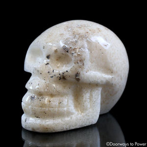 Scolecite Crystal Skull & Rare Synergy 12 Stone