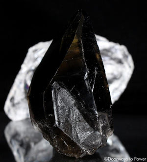 Smoky Citrine Lemurian Phantom Quartz Record Keeper Crystal 'Grounded In the All'