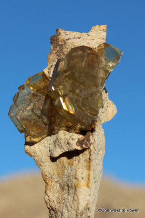 Barite Specimen with Angel Wings