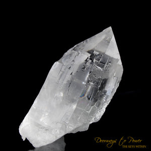 Himalayan Nirvana Cathedral Quartz Crystal Record Keeper 'Non Ordinary Reality'