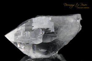 Himalayan Nirvana Cathedral Quartz Crystal Record Keeper 'Non Ordinary Reality'