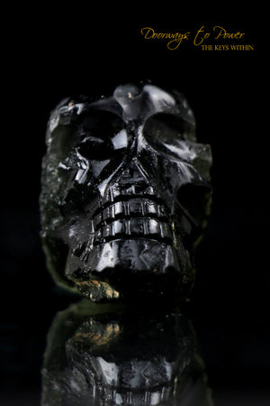 Leandro De Souza Moldavite Hand Carved Crystal Skull 'We Voyage in a Labyrinth'