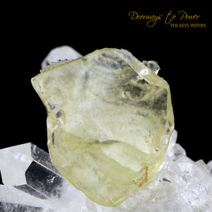 Libyan Desert Glass Dragon Crystal Carving