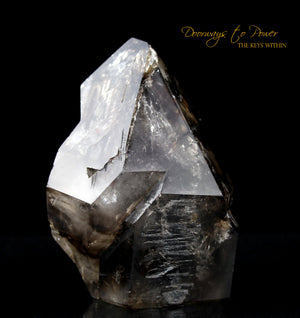 Smoky Elestial Quartz Crystal Record Keeper 'Portals of Ancient Knowledge'