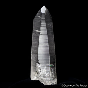 Black Phantom Lemurian Seed Quartz Crystal