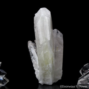 Danburite Crystal Synergy 12 Stone