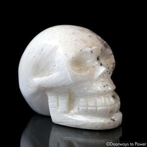 Scolecite Crystal Skull & Rare Synergy 12 Stone